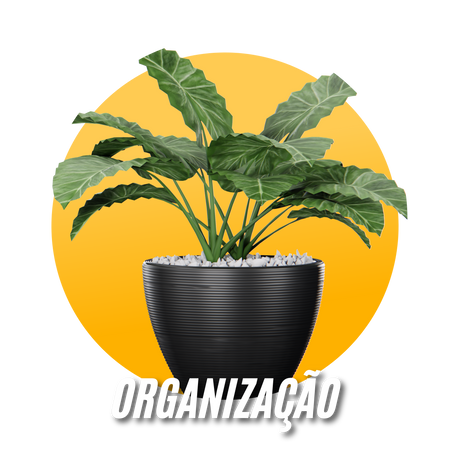 Organização